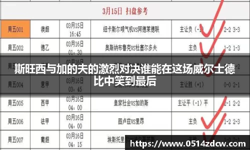 斯旺西与加的夫的激烈对决谁能在这场威尔士德比中笑到最后