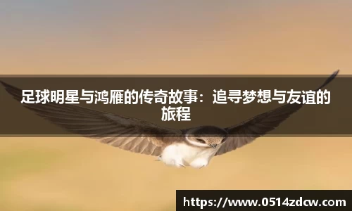 足球明星与鸿雁的传奇故事：追寻梦想与友谊的旅程