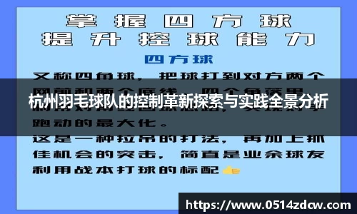 杭州羽毛球队的控制革新探索与实践全景分析